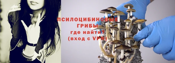 первитин Богородицк