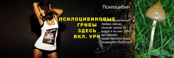 первитин Богородицк